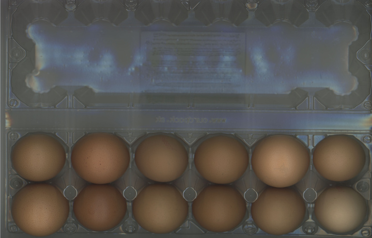 37.2 Paris - EGGS.jpg