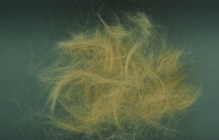 37.2 Paris - TILDA_S HAIR.jpg