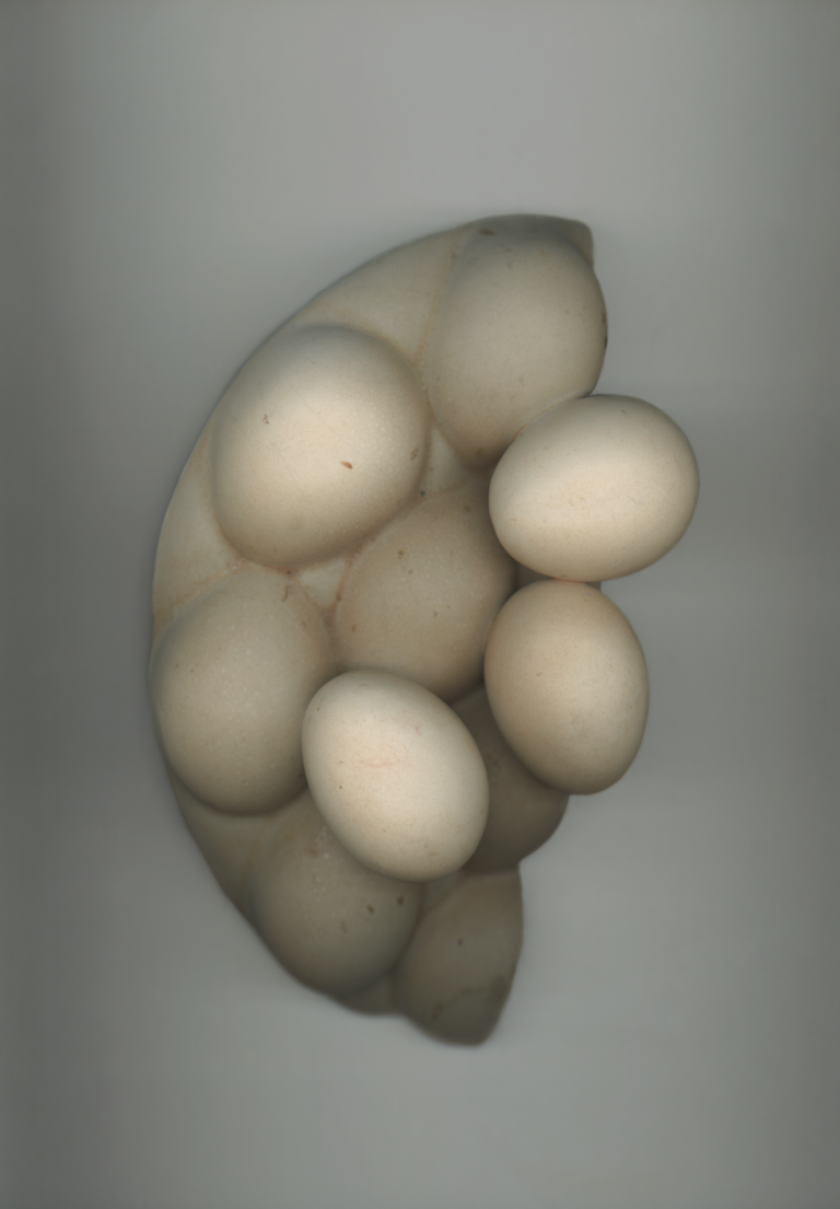 37.2 Paris - Capture d’écran 2023-04-25 à 15.47.17.png