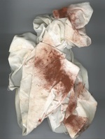 37.2 Paris - CLOTH WITH RED PIGMENT .jpg