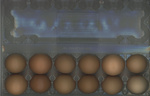 37.2 Paris - EGGS.jpg