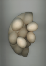 37.2 Paris - Capture d’écran 2023-04-25 à 15.47.17.png