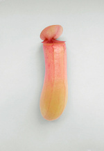 37.2 Paris - MAXXI_Page_20.jpg