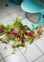 37.2 Paris - RB_Ammi_BrokenFlowers_3.jpg