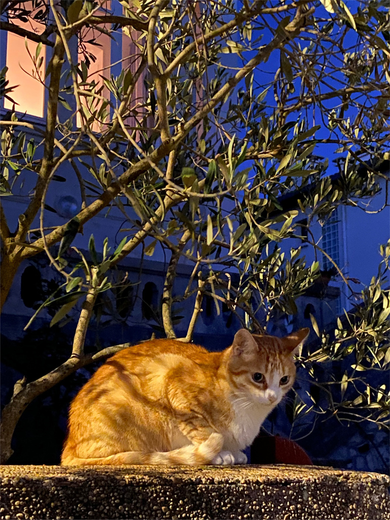 37.2 Paris - RB_NightFall_8.jpg