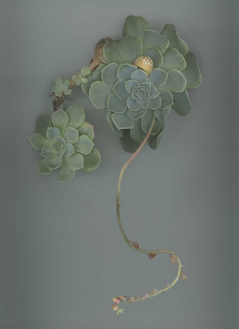 37.2 Paris - 02_NUMERO052_CARTIER.jpg