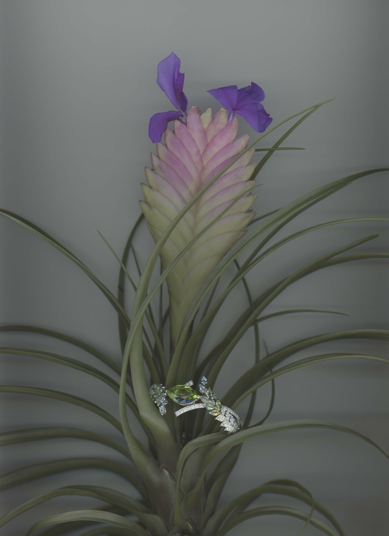 37.2 Paris - 05_NUMERO072_CHANEL.jpg