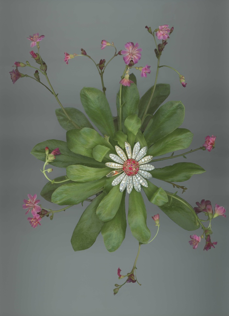 37.2 Paris - 12_NUMERO027_VAN_CLEEF.jpg