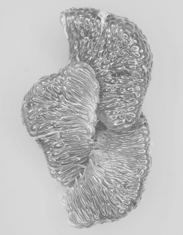 37.2 Paris - LEGUMES VERNIS INES_063.jpg