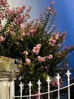 37.2 Paris - RB_NightFall_6.jpg