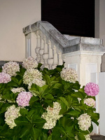 37.2 Paris - RB_NightFall_7.jpg