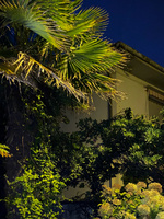 37.2 Paris - RB_NightFall_14.jpg