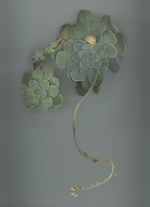 37.2 Paris - 02_NUMERO052_CARTIER.jpg