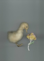 37.2 Paris - 01_NUMERO020_VAN_CLEEF.jpg