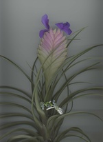 37.2 Paris - 05_NUMERO072_CHANEL.jpg