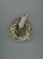 37.2 Paris - 08_NUMERO060_HARUMI.jpg