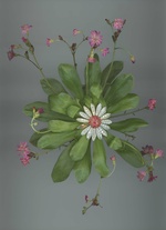 37.2 Paris - 12_NUMERO027_VAN_CLEEF.jpg