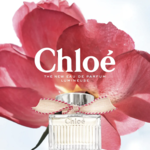 37.2 Paris - chloe garance du nord styliste florale floral designer 37.2 agent.png