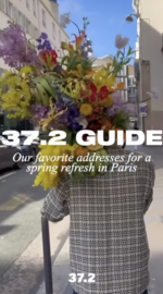 37.2 Paris - paris spring