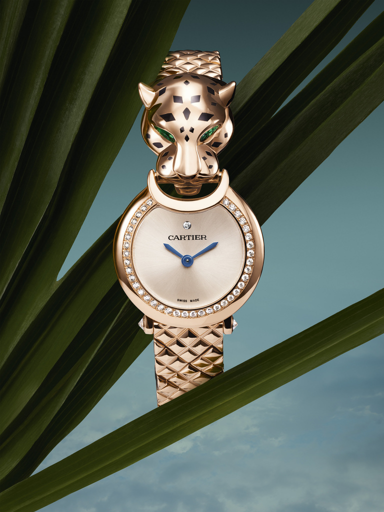 37.2 Paris - Panthère de Cartier 