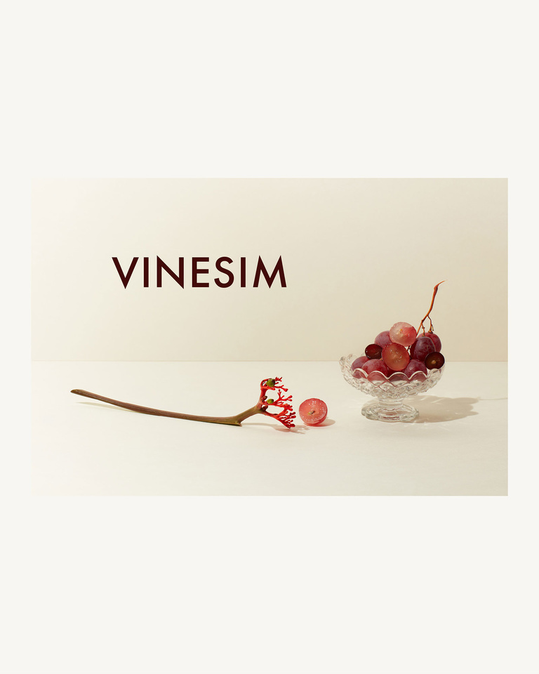 37.2 Paris - Vinesim 